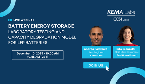 Unveiling LFP Battery Ageing